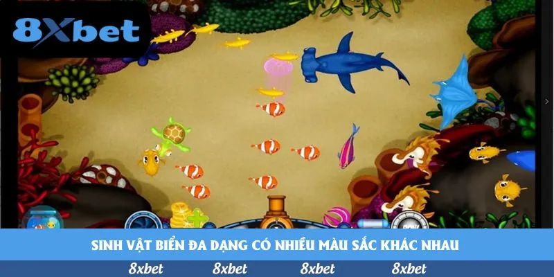 Sinh vật biển đa dạng có nhiều màu sắc khác nhau&nbsp;